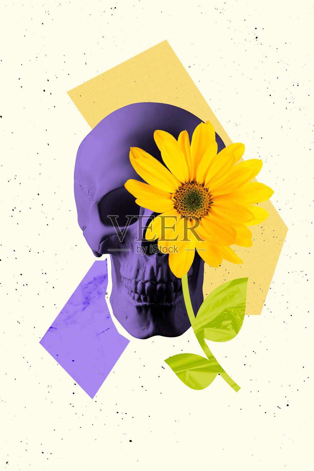 骨骼骷髅菊花花束素描艺术海报3D横幅拼贴画，春季装饰自然照片摄影图片