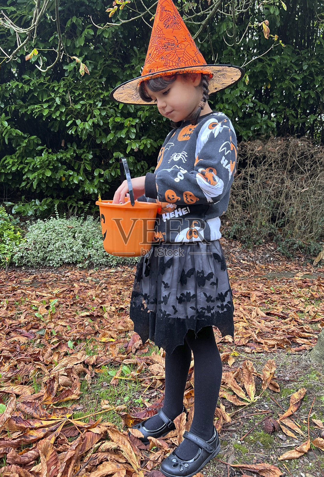 准备好迎接万圣节照片摄影图片