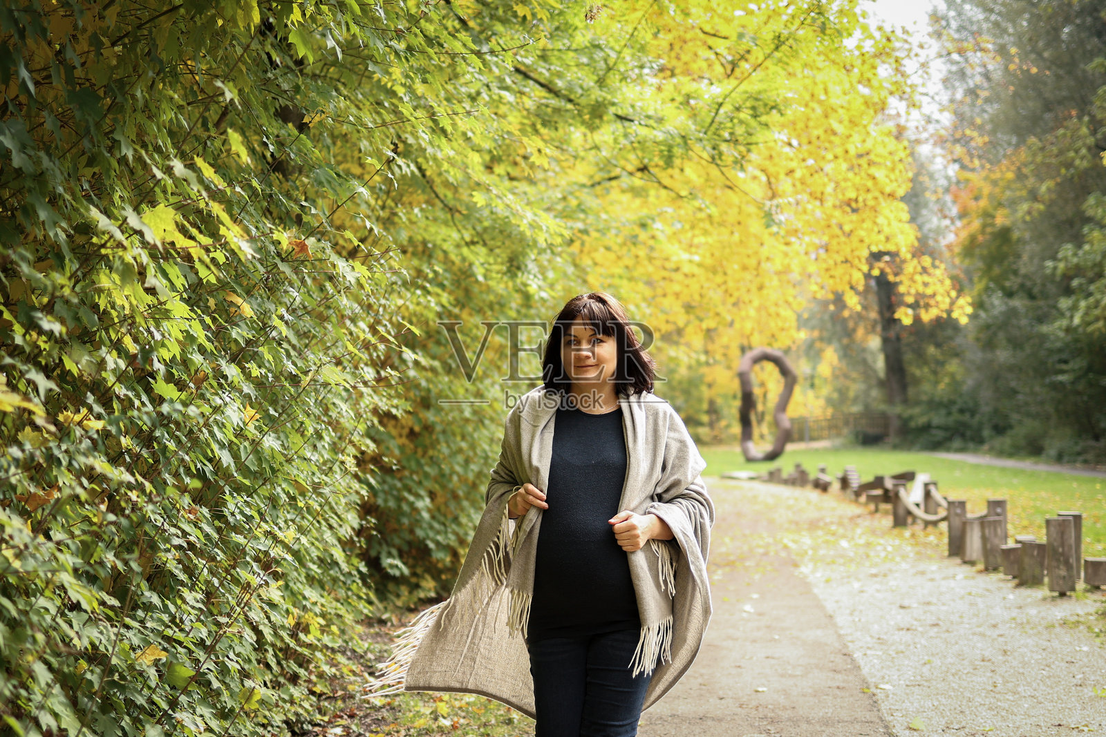 怀孕。一位怀孕九个月的女士在公园里散步。秋天的公园。照片摄影图片