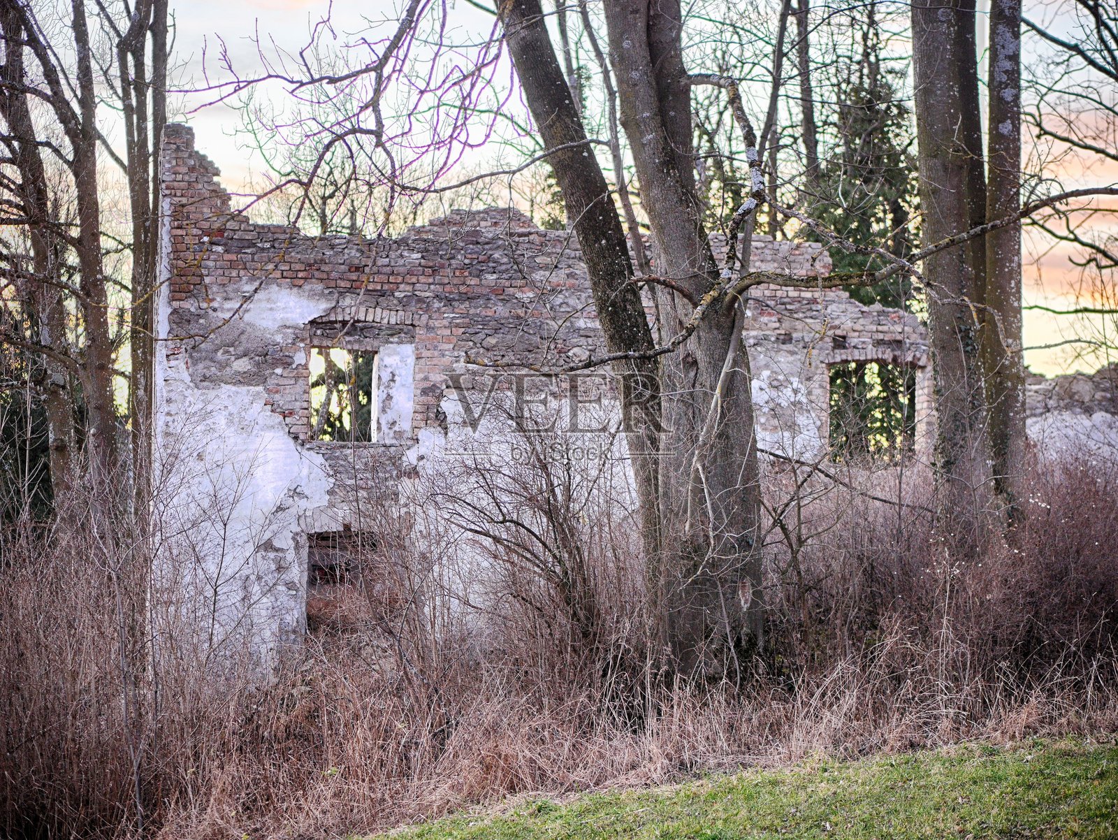 一栋破旧的房屋，周围长满了杂草和树木。照片摄影图片
