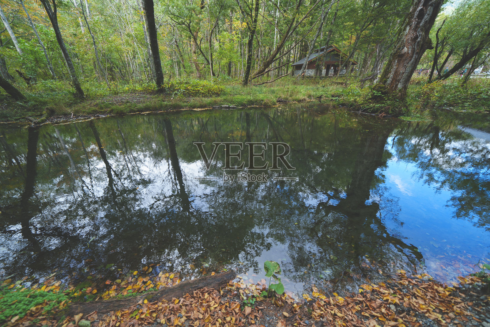 十月美丽的涸上溪谷景色照片摄影图片