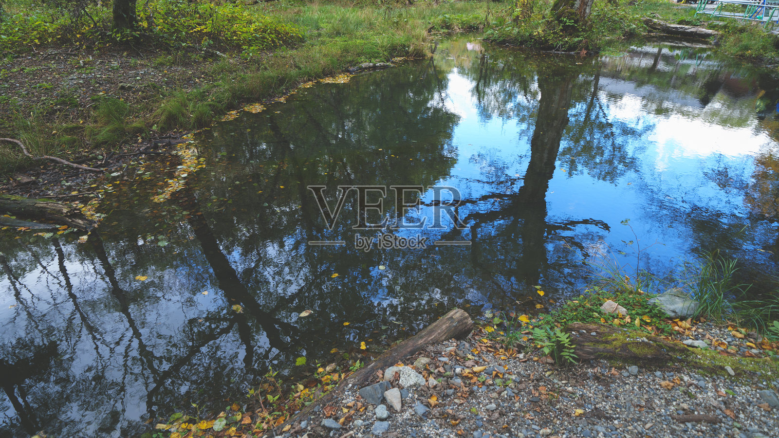 十月美丽的涸神子照片摄影图片