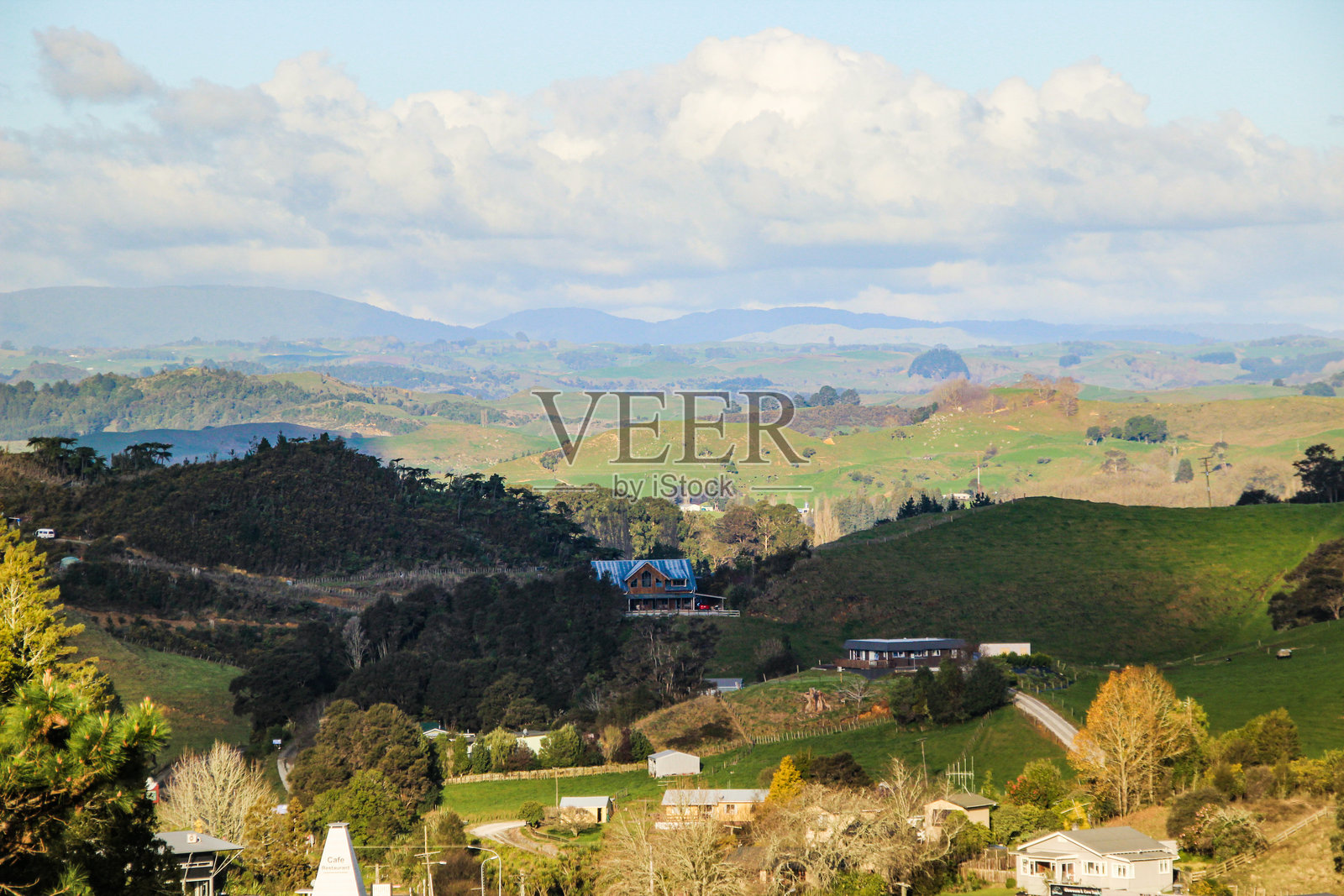 新西兰美丽的风光，绿色的山丘、牧场和放牧田野照片摄影图片