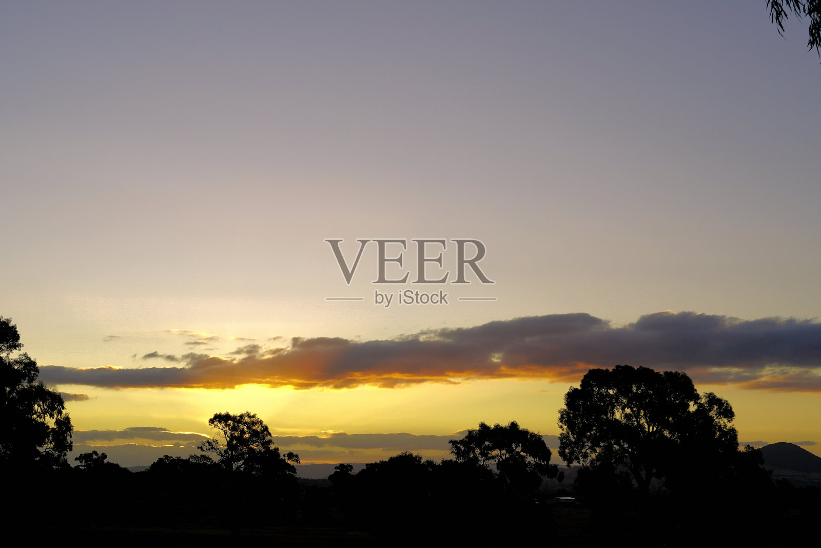 澳大利亚维多利亚州高地曼斯菲尔德照片摄影图片