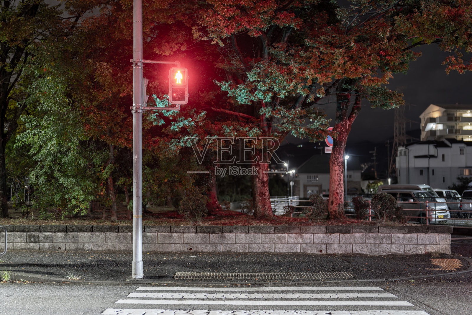 夜晚宁静的居民小巷 — 雨水打湿的街道与倒影照片摄影图片