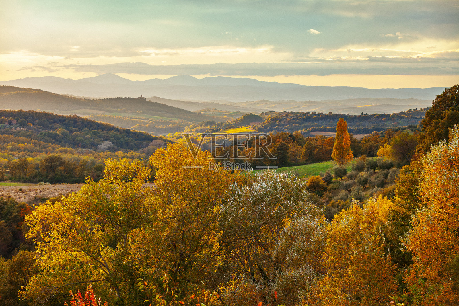 秋季托斯卡纳乡村连绵起伏的山丘，金色与绿色的秋叶照片摄影图片