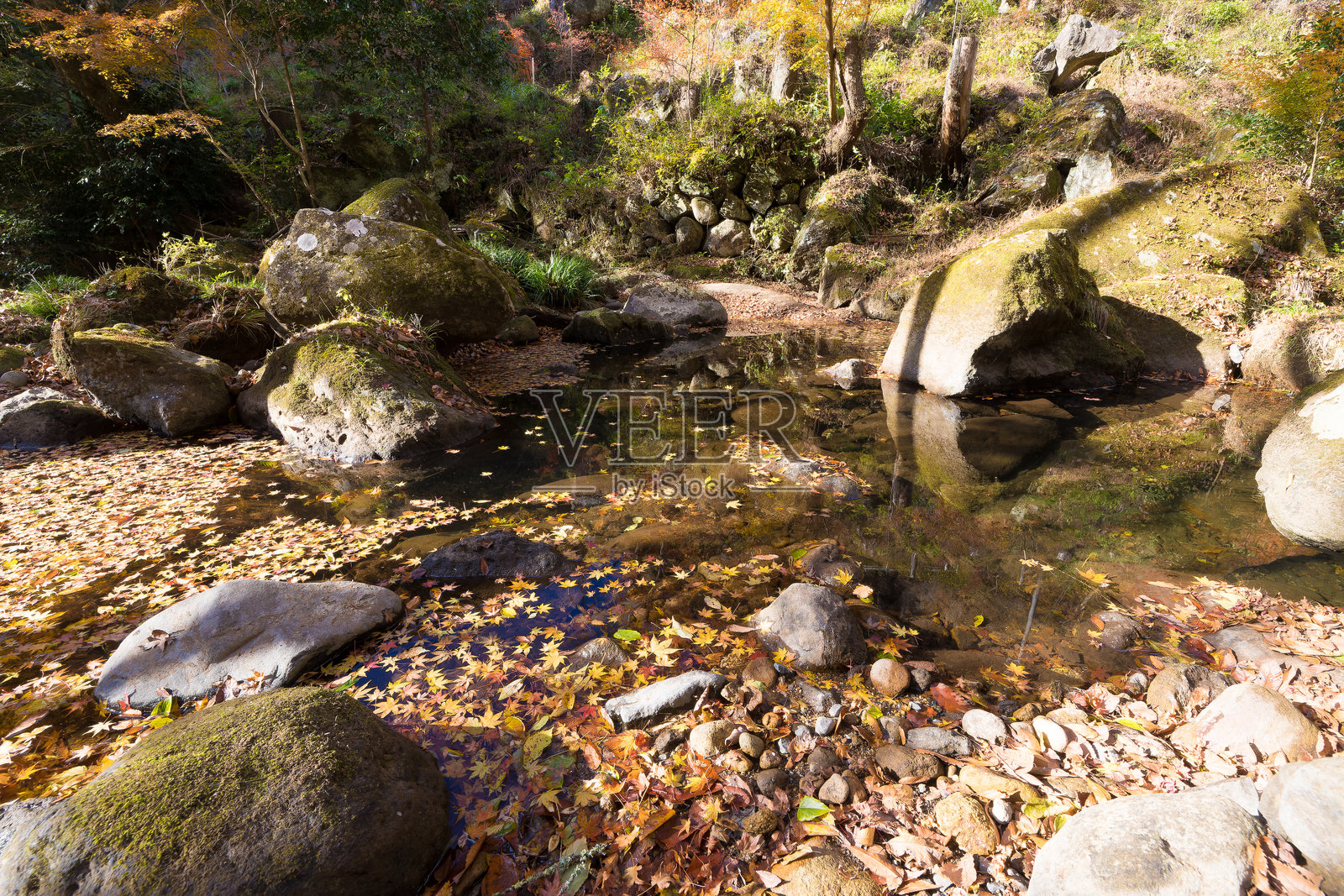 秋日山谷枫叶（大分县丰后大野市）照片摄影图片