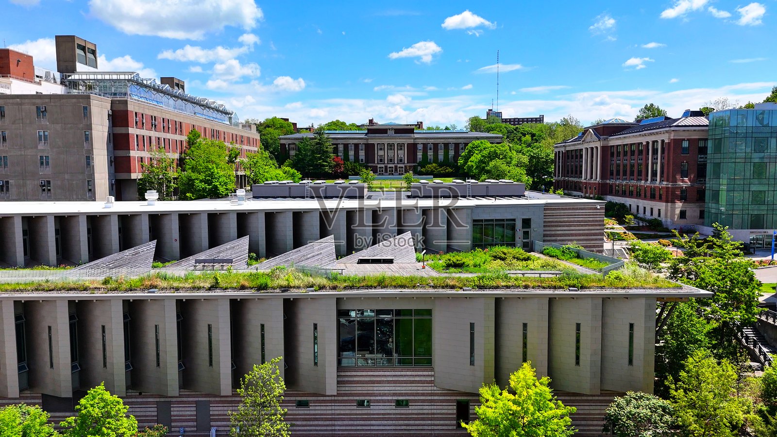 通过卓越的校园教育拓展可持续发展的范畴照片摄影图片