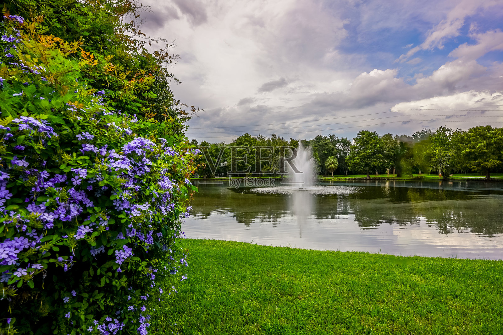 佛罗里达州利斯堡退伍军人纪念公园的葱郁花园和喷泉照片摄影图片