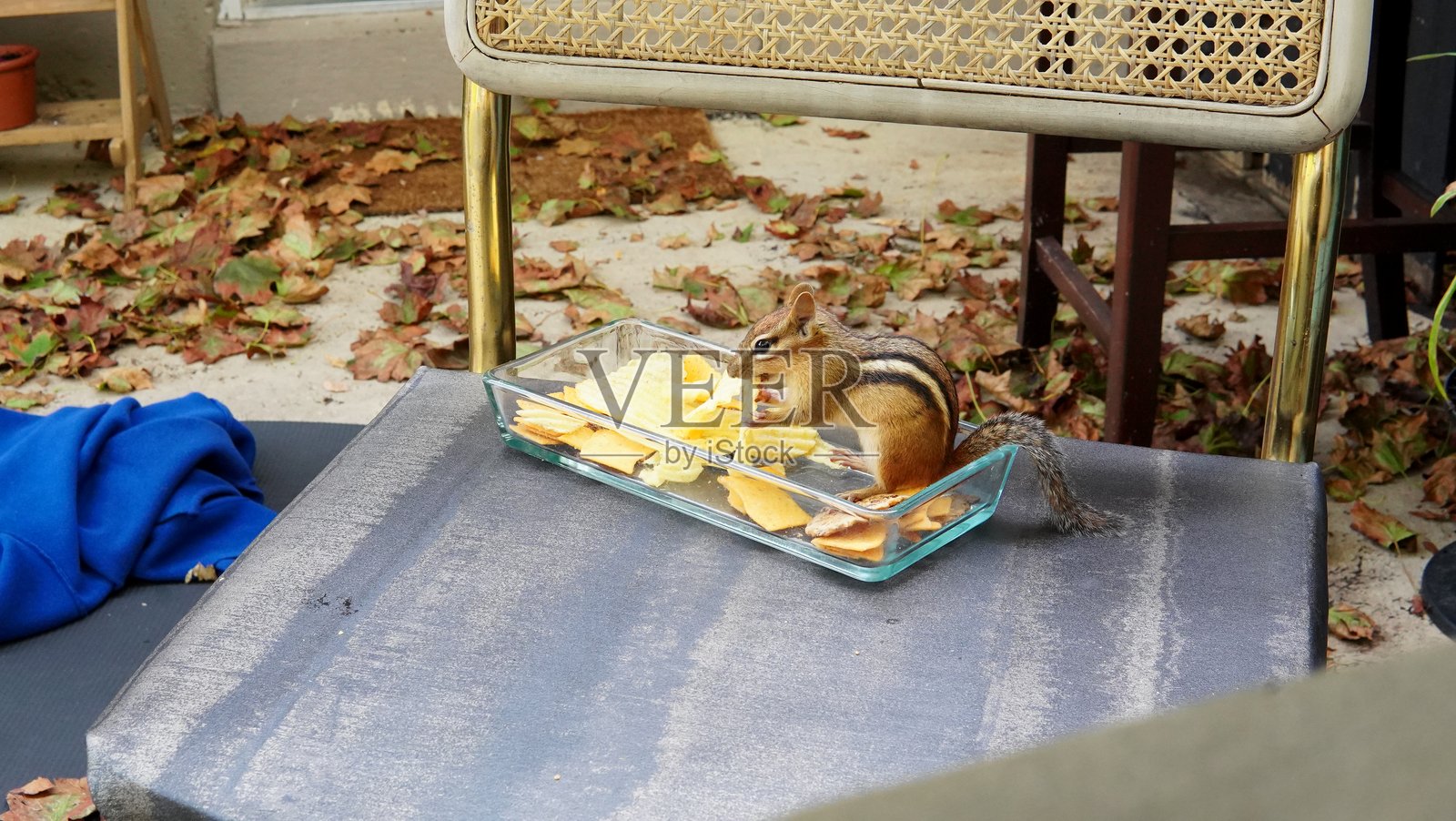 好朋友照片摄影图片