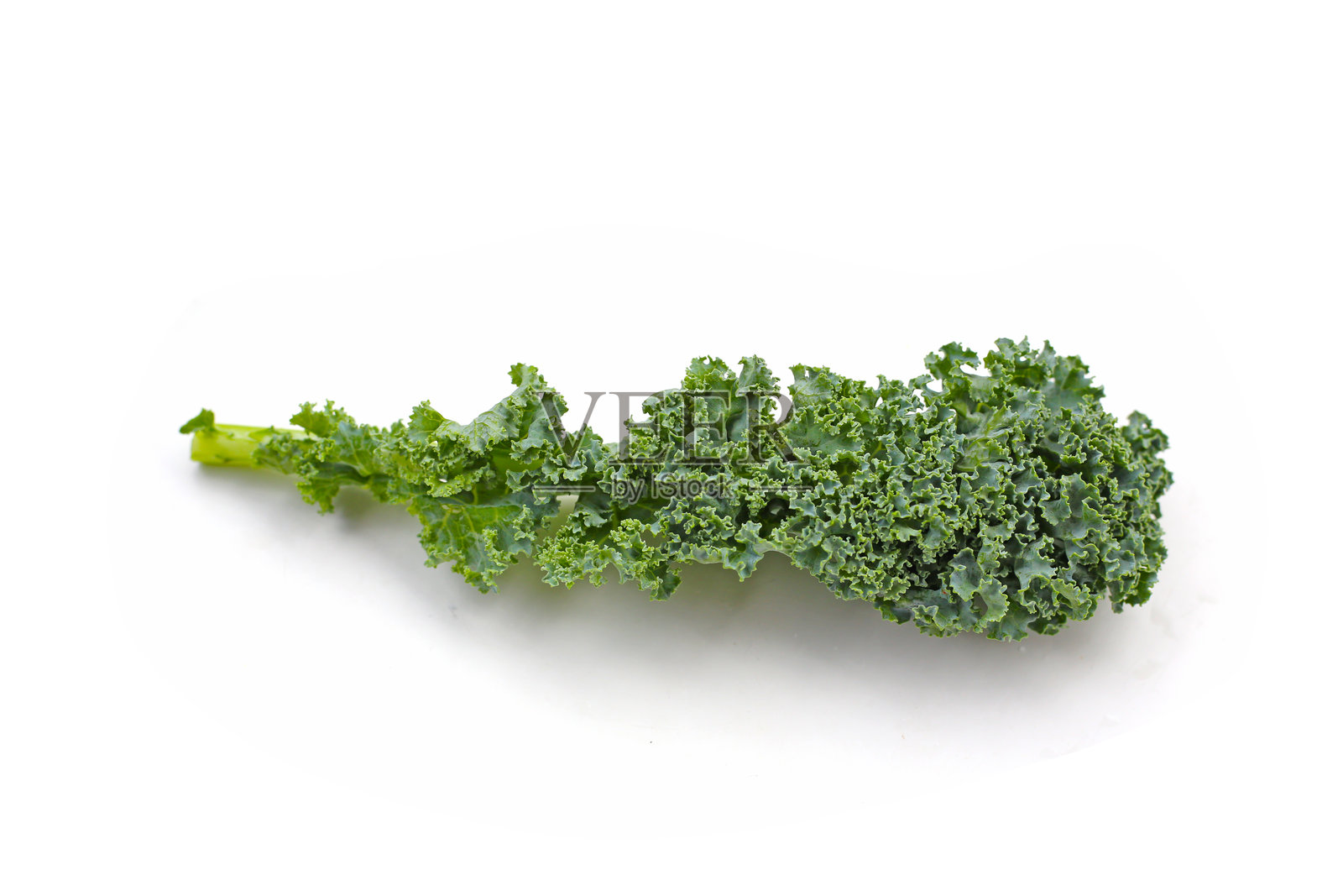 带有纹理的绿色表面的新鲜卷曲羽衣甘蓝叶。照片摄影图片