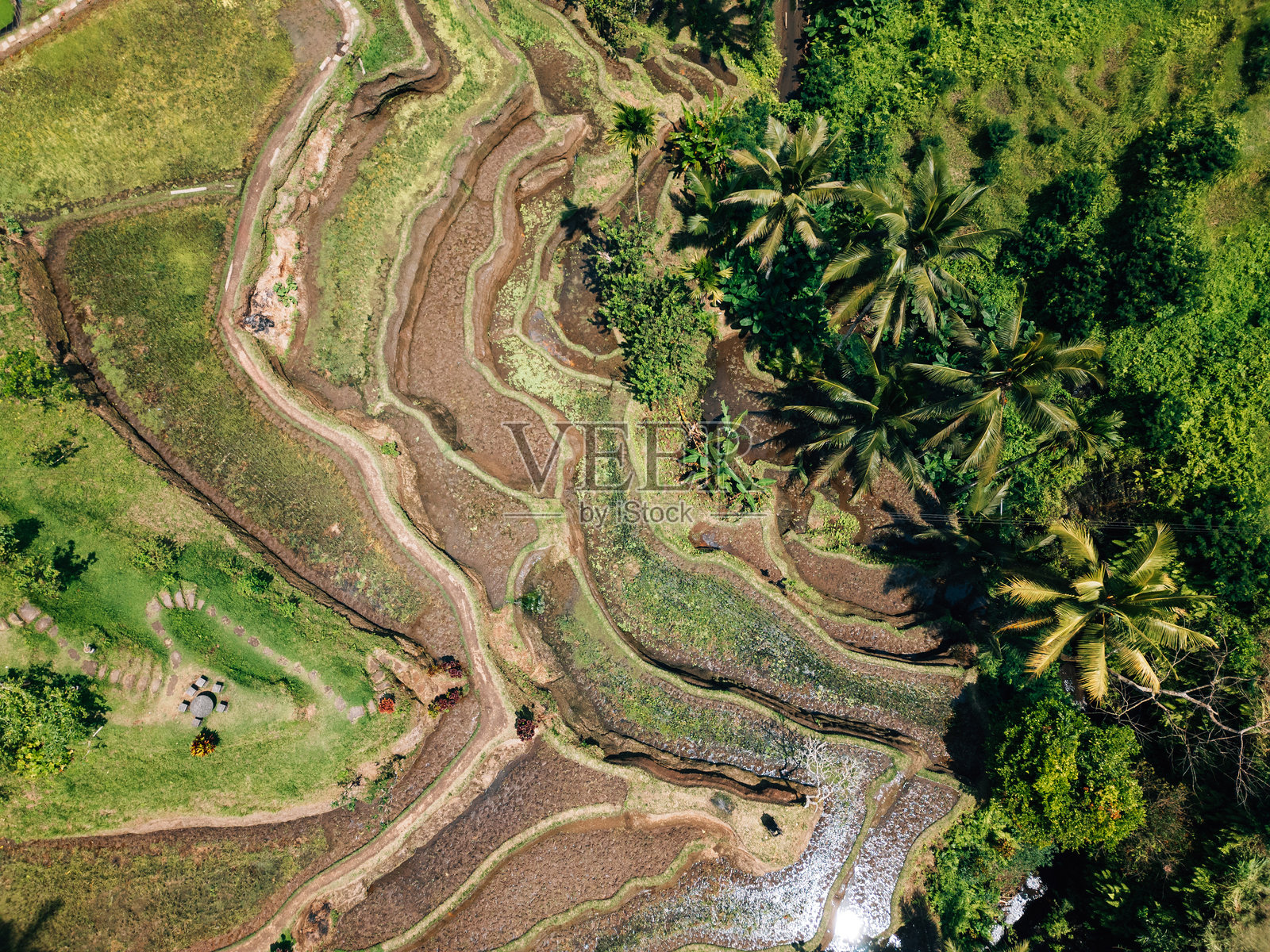从上方俯瞰巴厘岛德格拉朗梯田的景色照片摄影图片