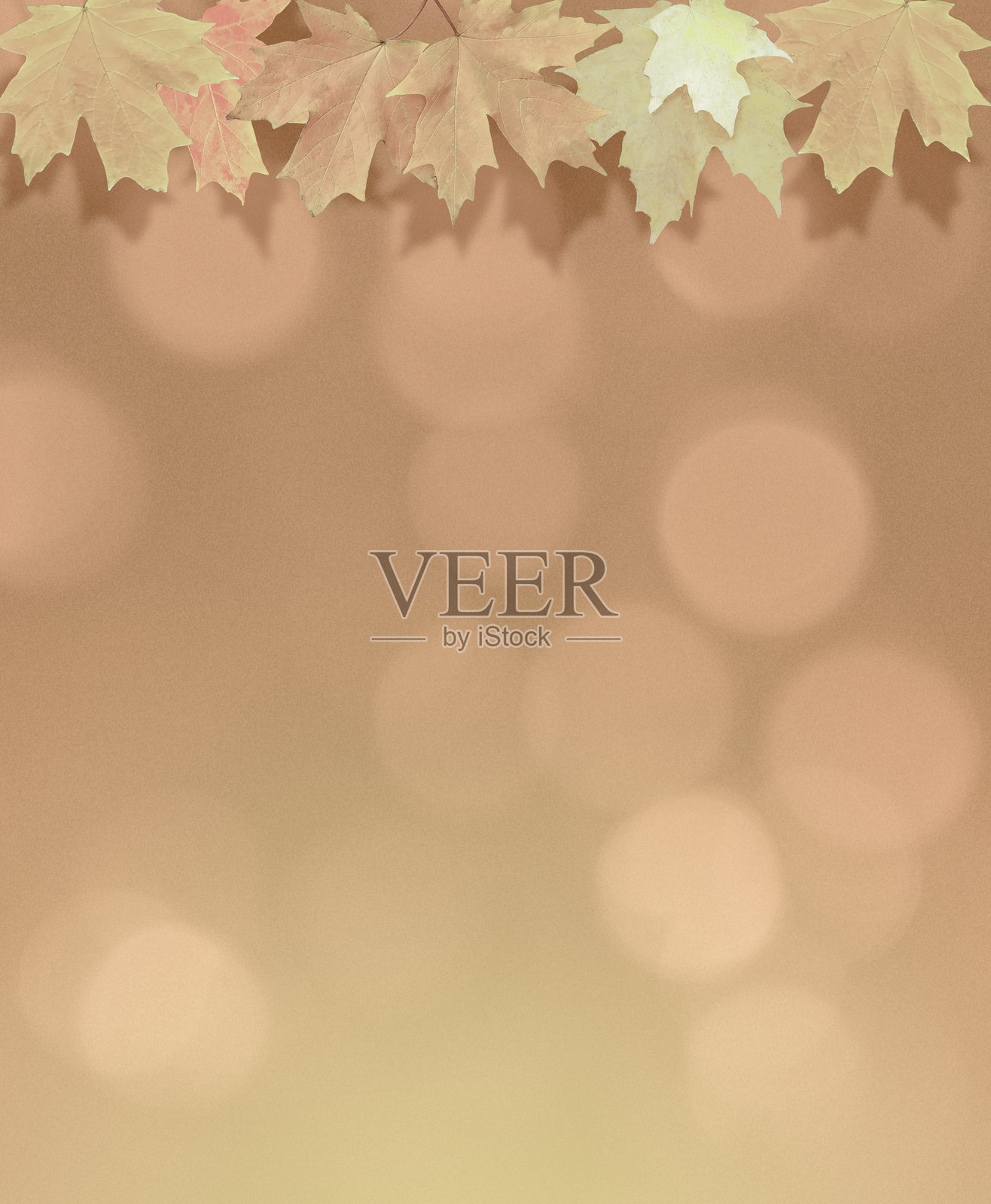 粉彩粉色散景背景上的枫叶，带有复制空间插画图片素材