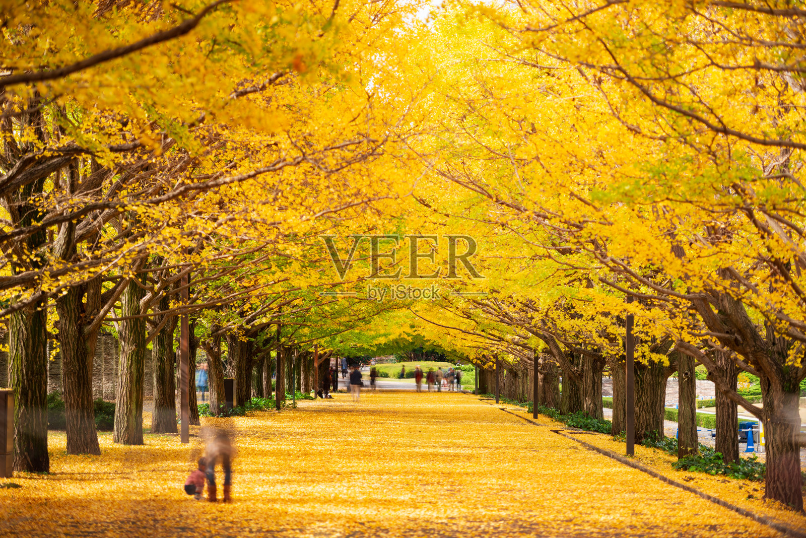 日本东京秋季公园照片摄影图片