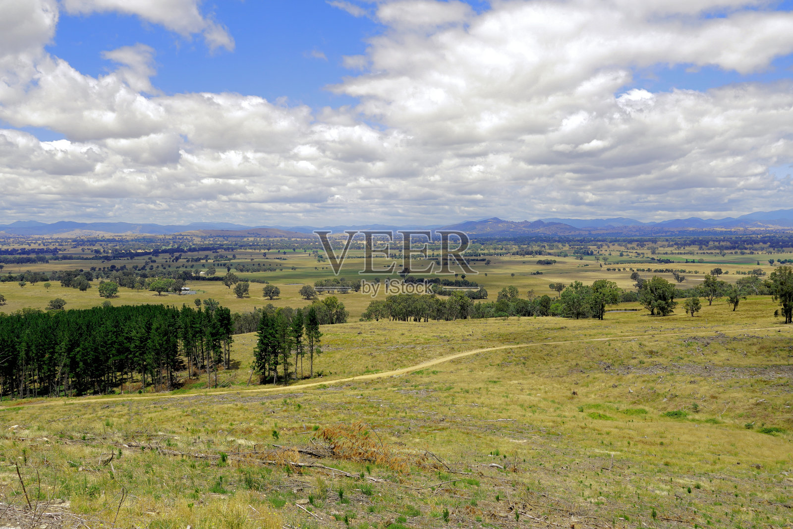 澳大利亚维多利亚州高地曼斯菲尔德照片摄影图片