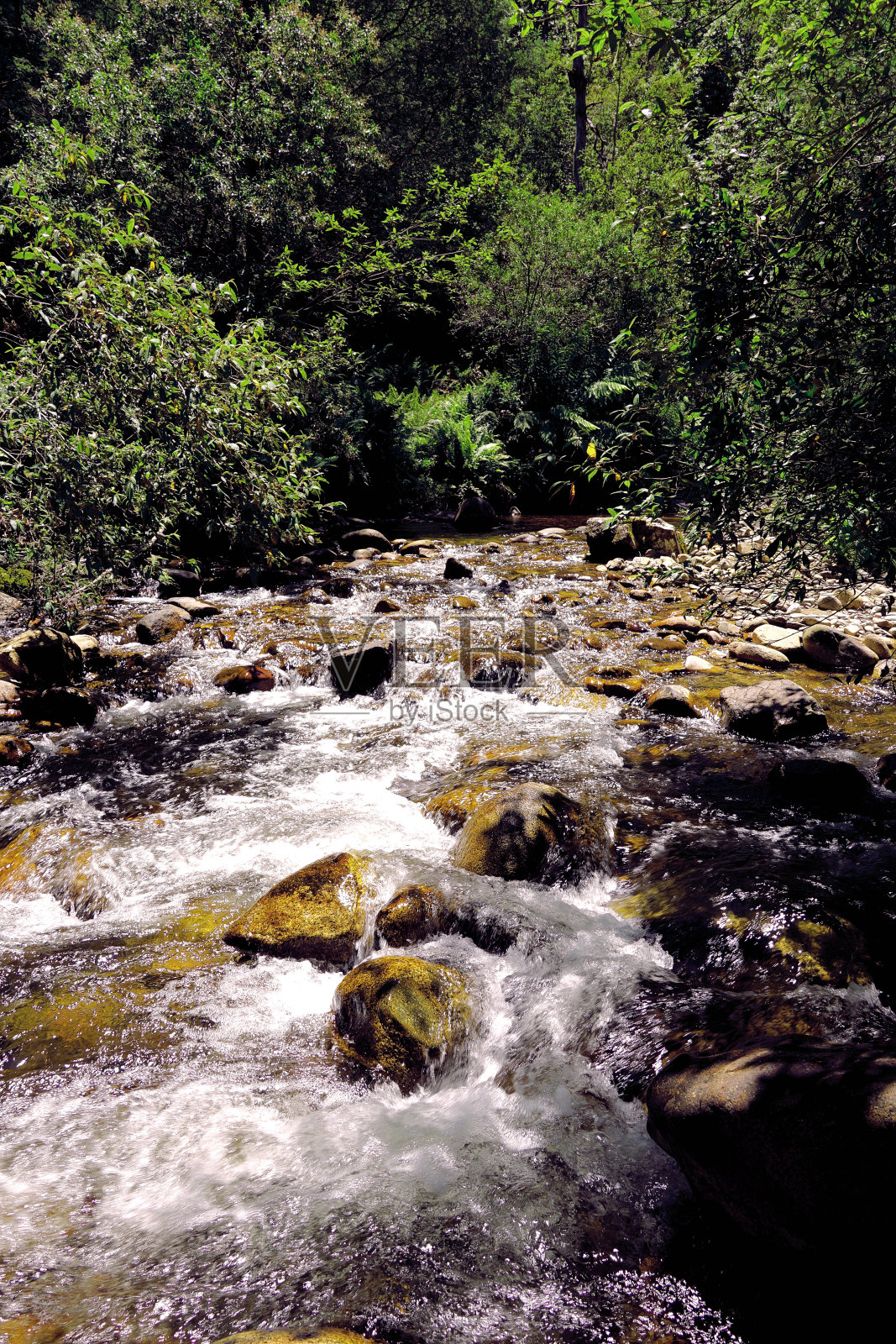 澳大利亚维多利亚州高地梅里吉格照片摄影图片