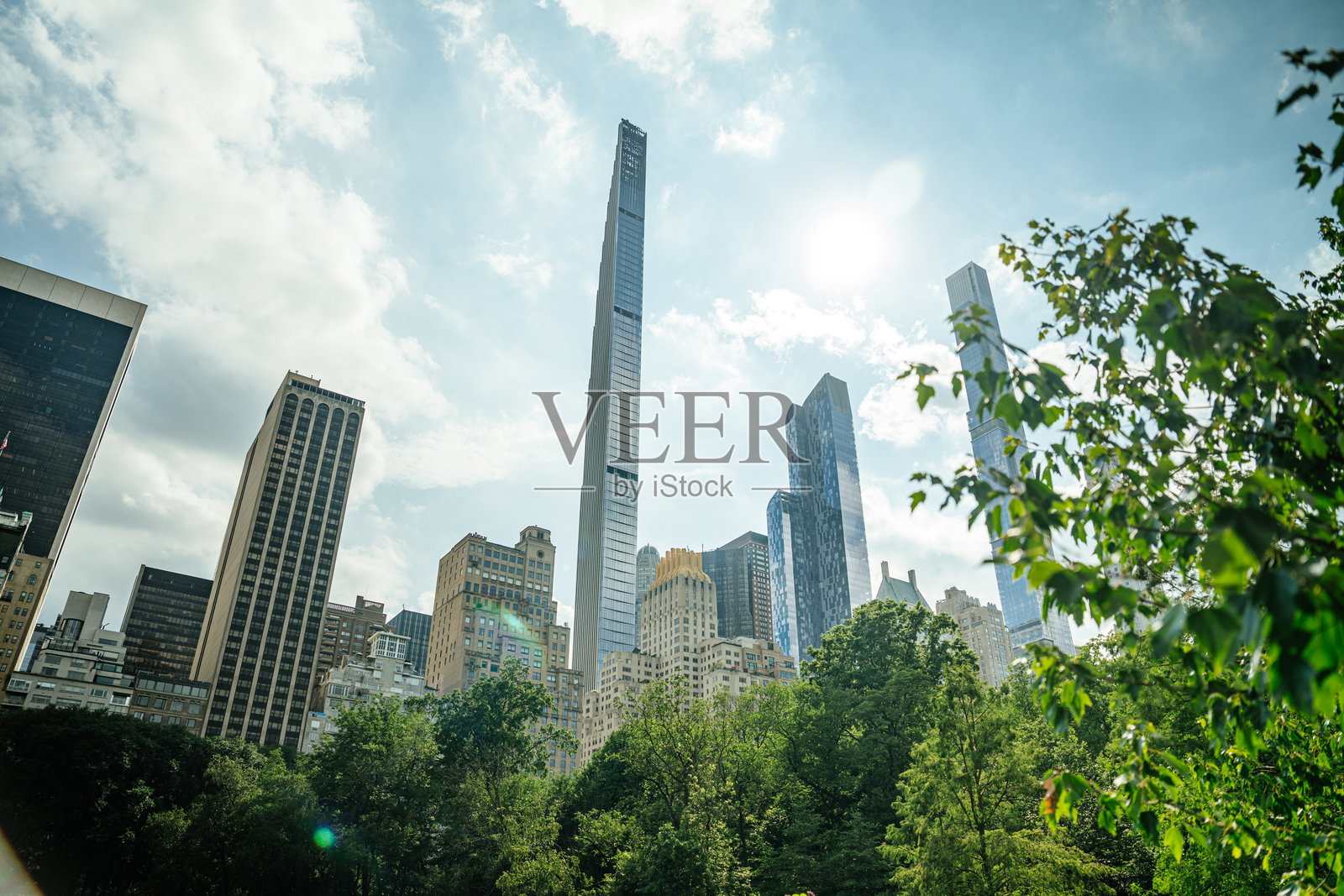 纽约中央公园阳光下的摩天大楼与树木照片摄影图片