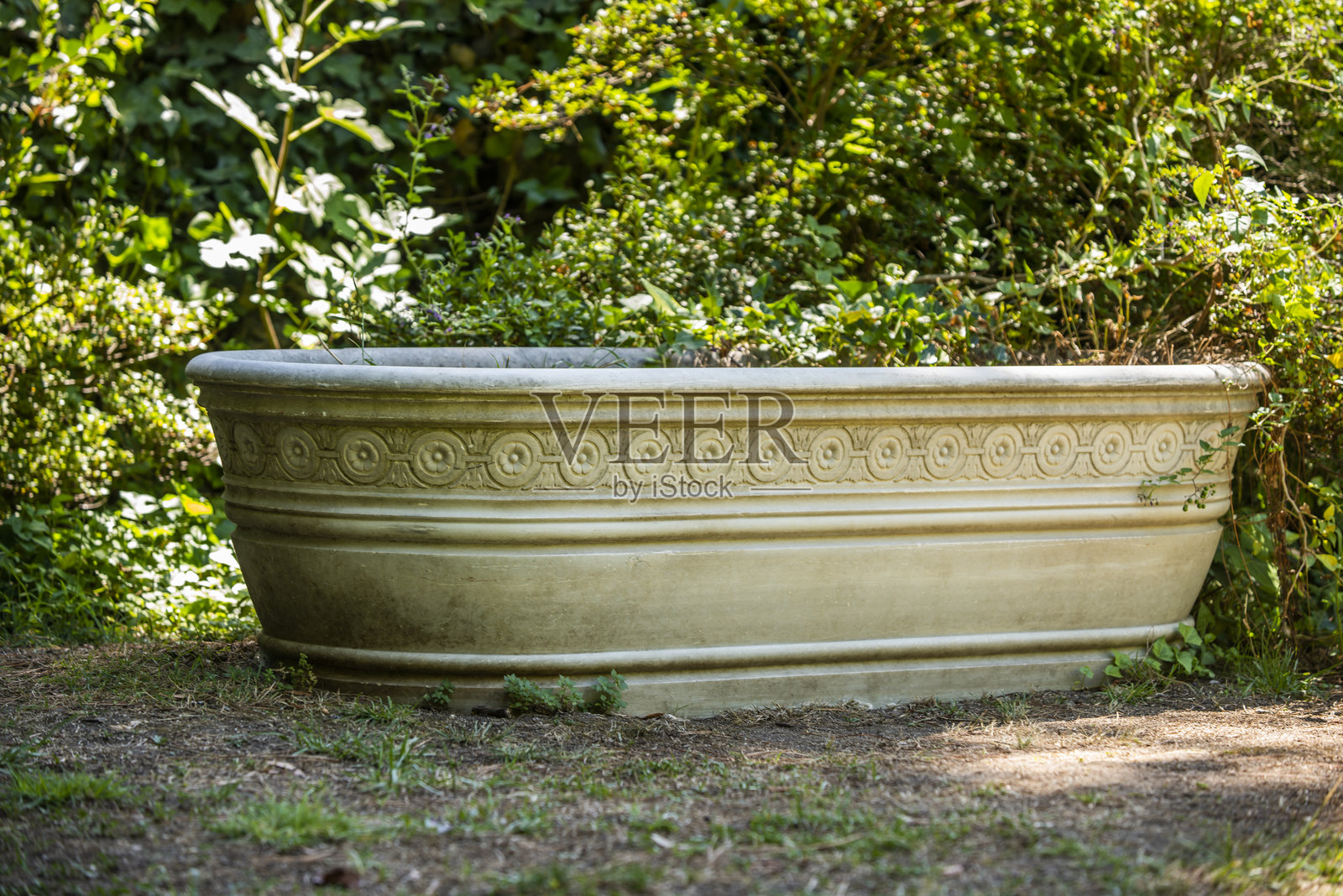 装满植物的大理石花盆浴缸照片摄影图片