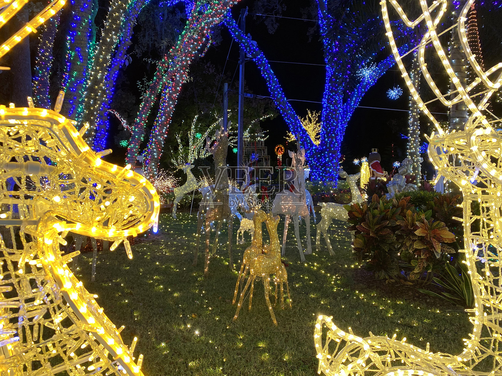 节日花园里的金色驯鹿和彩色灯饰照片摄影图片