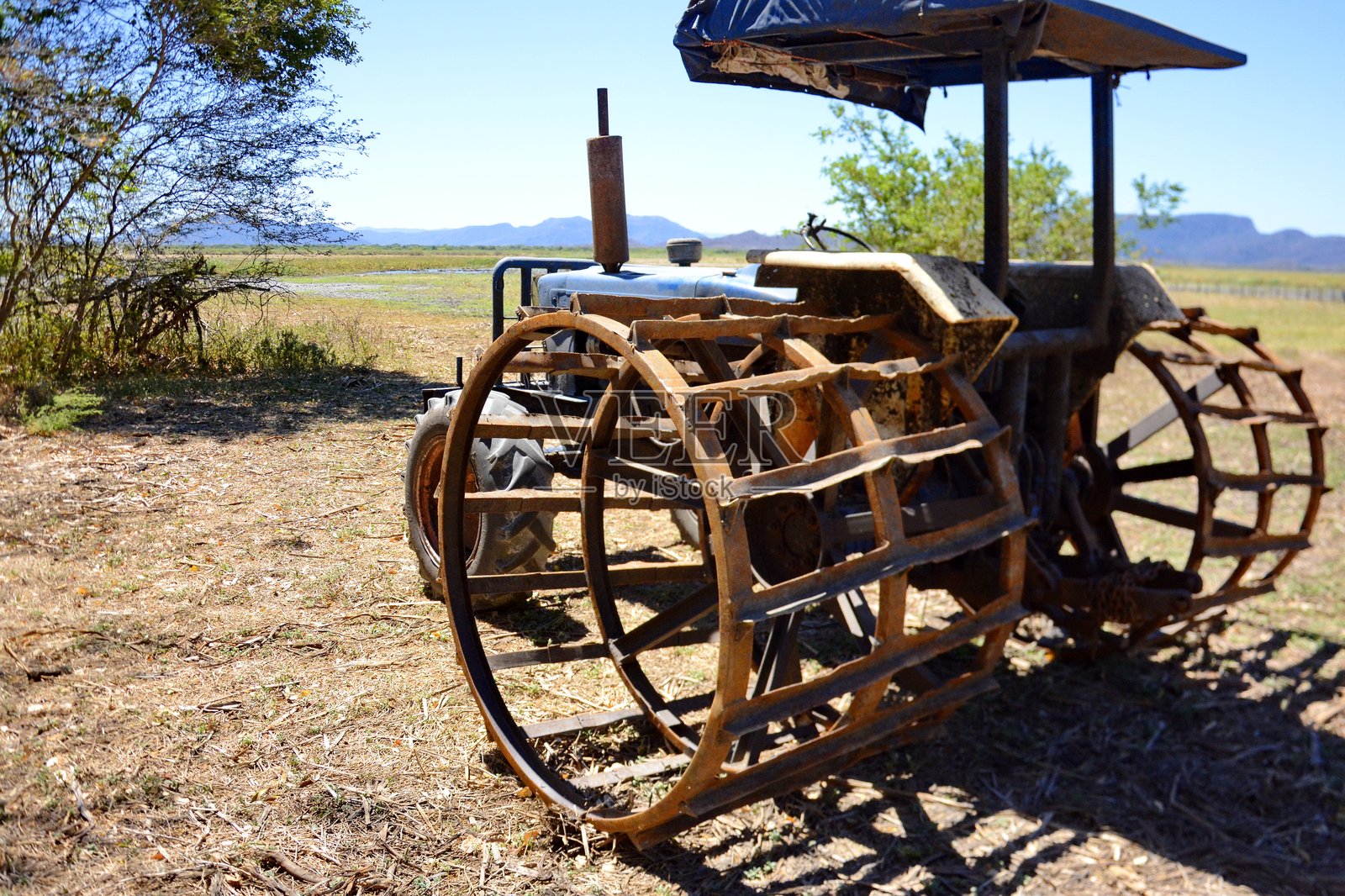 哥斯达黎加帕洛维尔德湿地的干裂土地。照片摄影图片