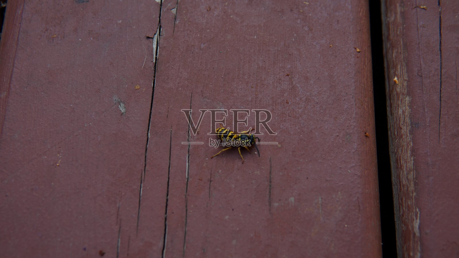 最孤独的栖息地照片摄影图片