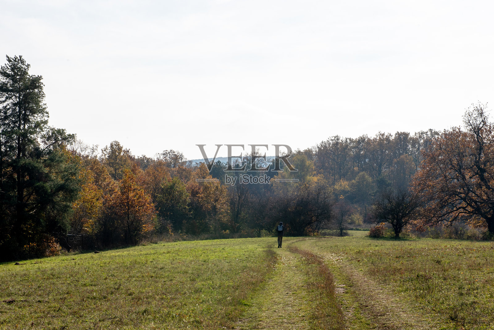 秋季风光。远处的道路、森林、山脉和美丽的蓝天照片摄影图片