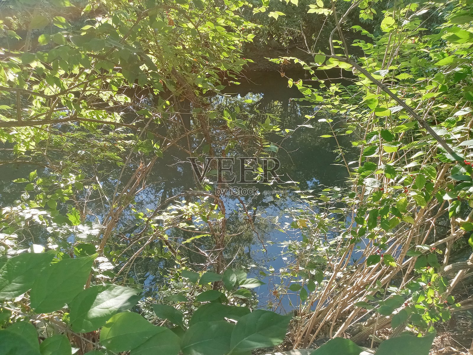 河流的景象照片摄影图片