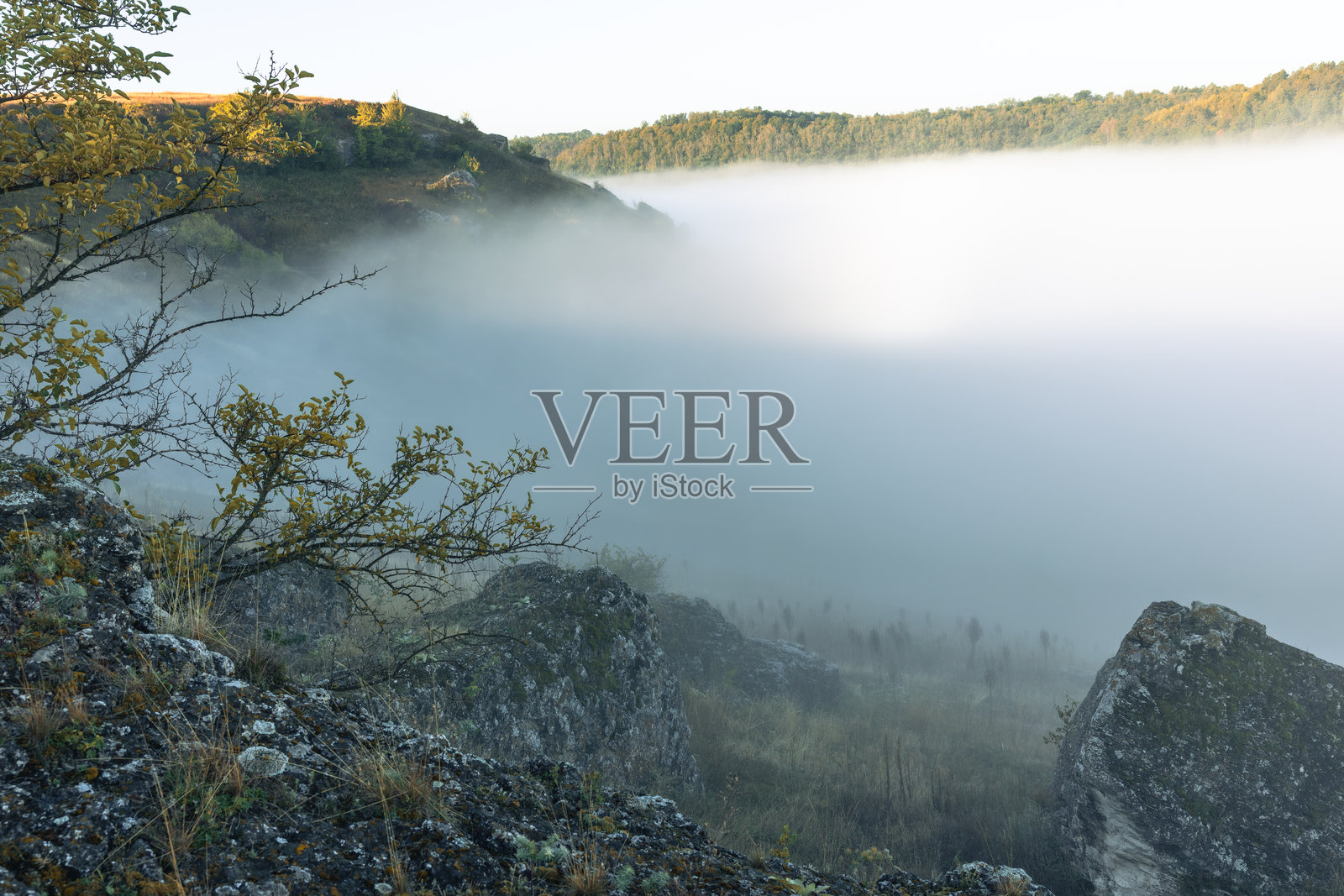 摩尔多瓦共和国清晨雾气笼罩的风景，朦胧的乡村景色照片摄影图片