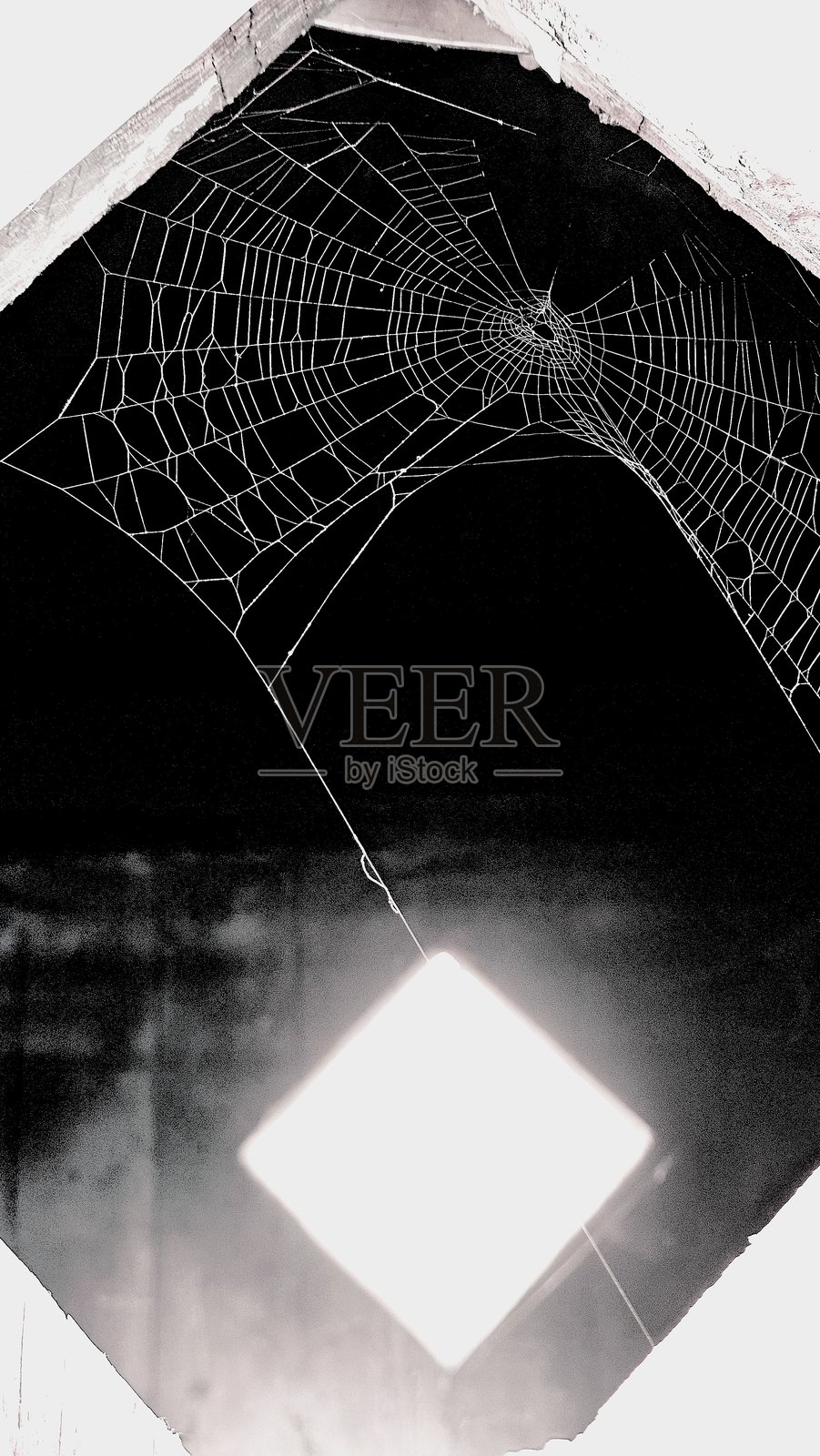 两扇窗户之间的蜘蛛网照片摄影图片