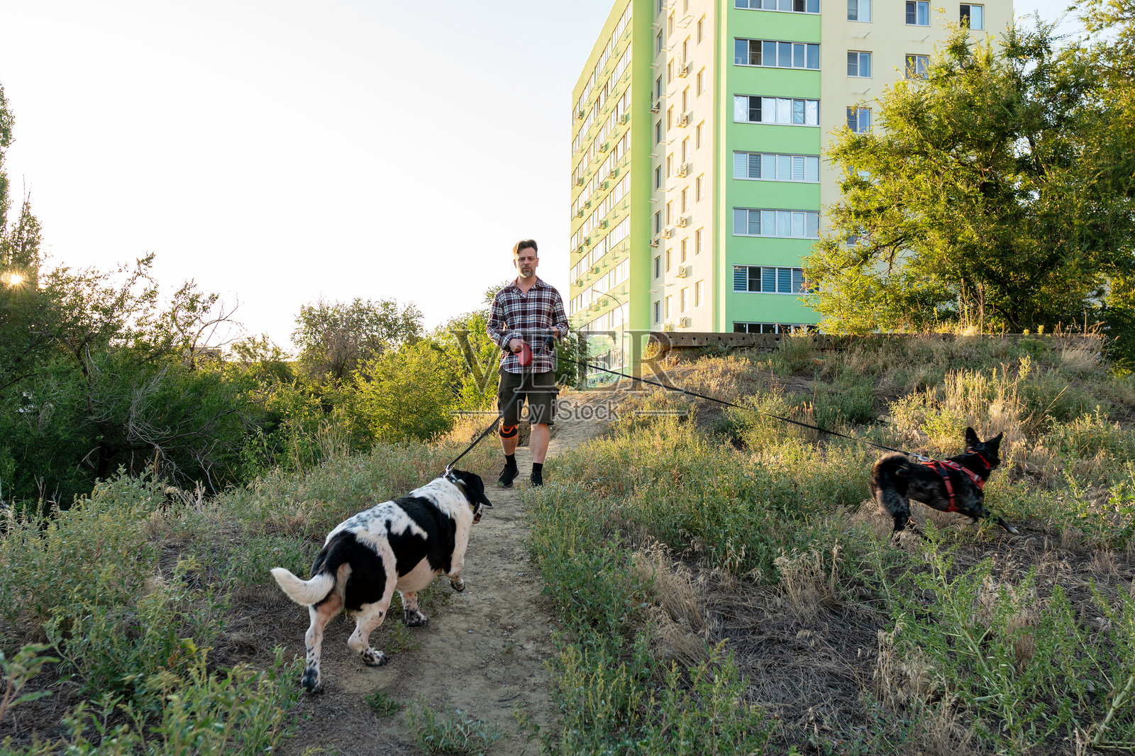 男人在公寓楼附近的土路上遛狗照片摄影图片