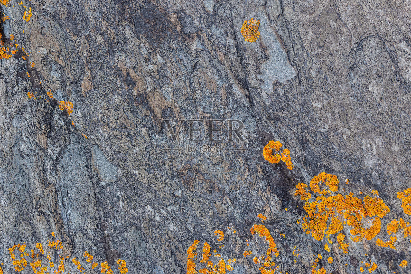 宁静的岩石海岸上覆盖着橙色地衣的沉积岩照片摄影图片