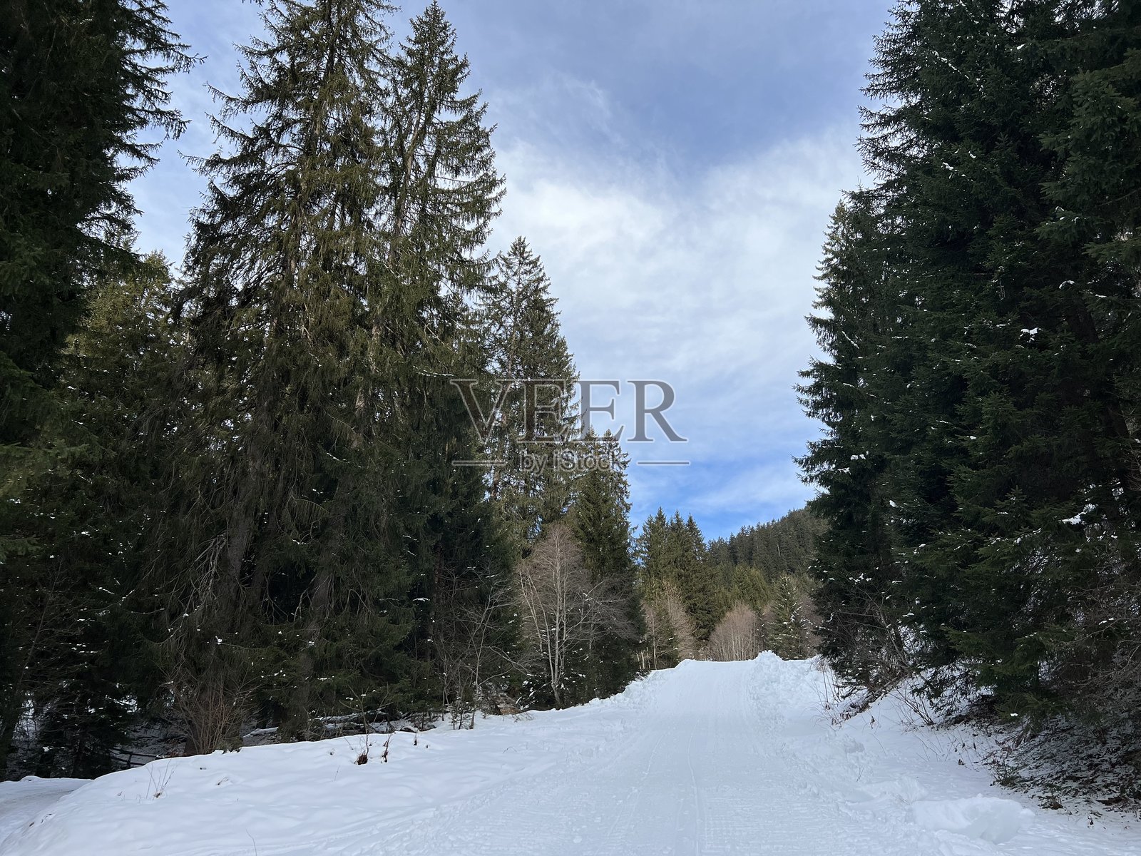 瑞士阿尔卑斯山冬季风光，格劳宾登州克洛斯特斯旅游胜地（Kanton Graubünden, Schweiz）的典型冬季氛围下的高山树冠美景照片摄影图片