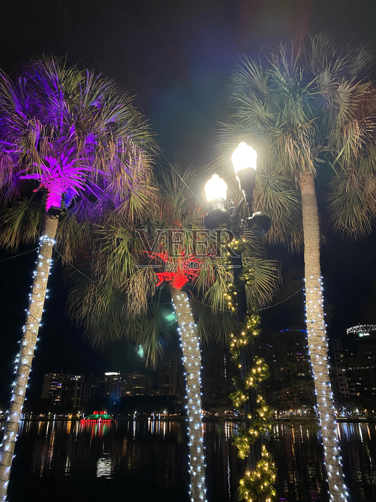 湖边有灯的灯柱和棕榈树照片摄影图片