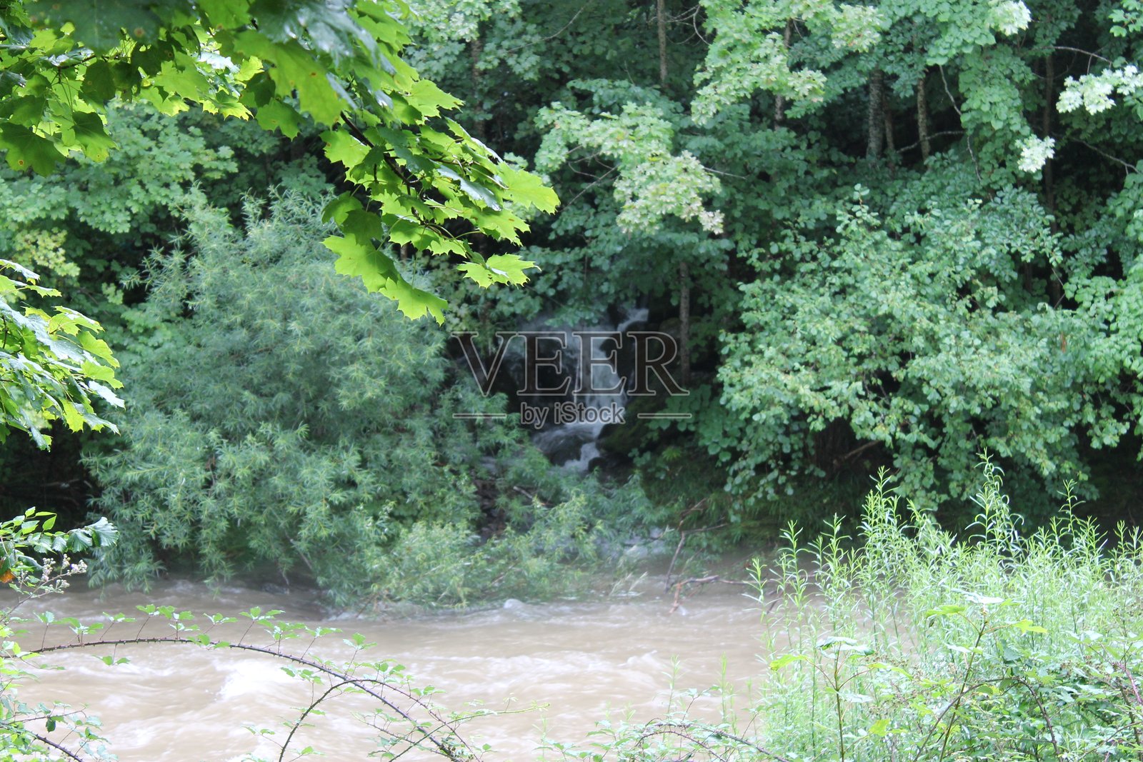 2024 - 坎弗兰克车站自然保护区 - 比利牛斯山照片摄影图片