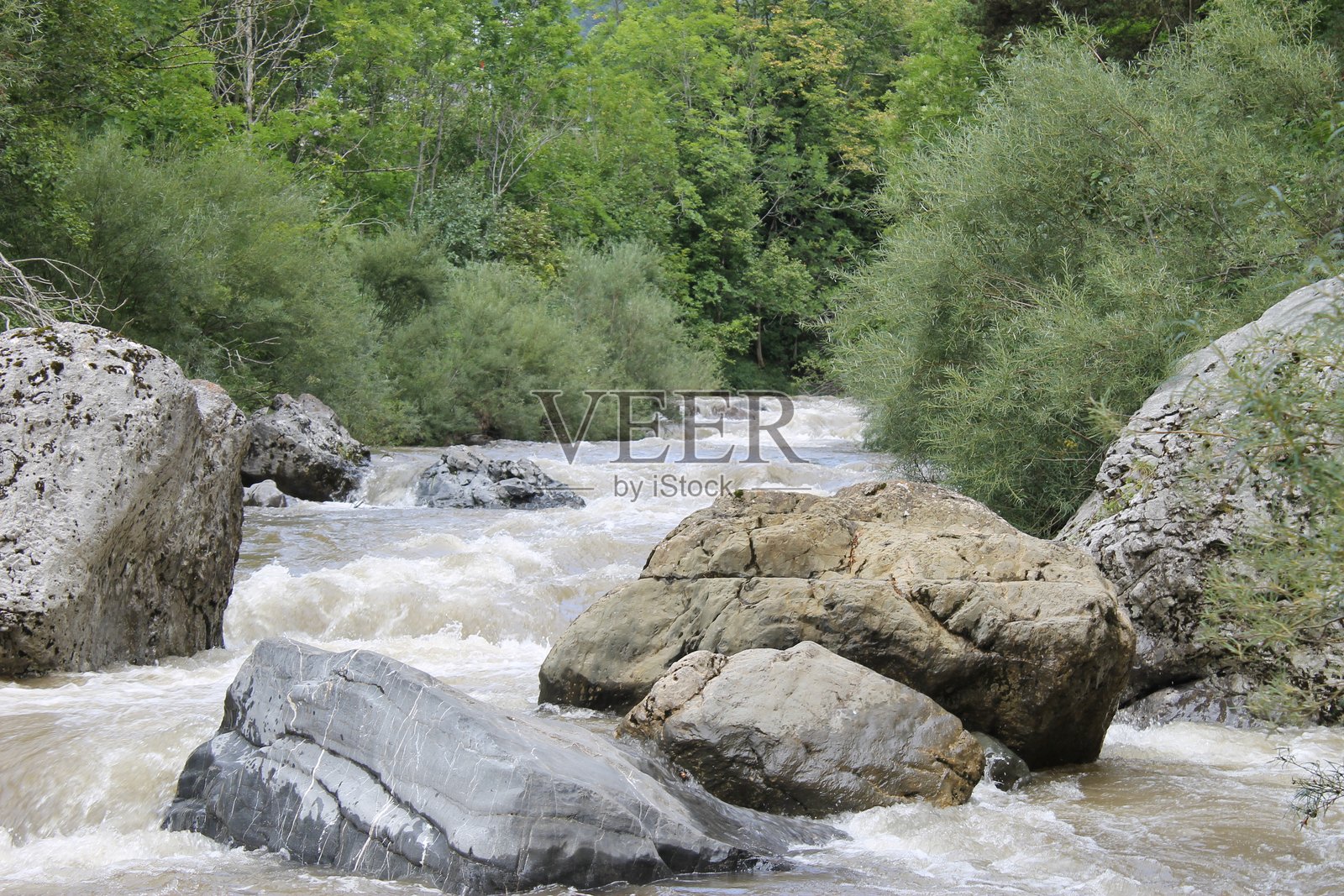 2024 - 坎弗兰克车站自然保护区 - 比利牛斯山照片摄影图片