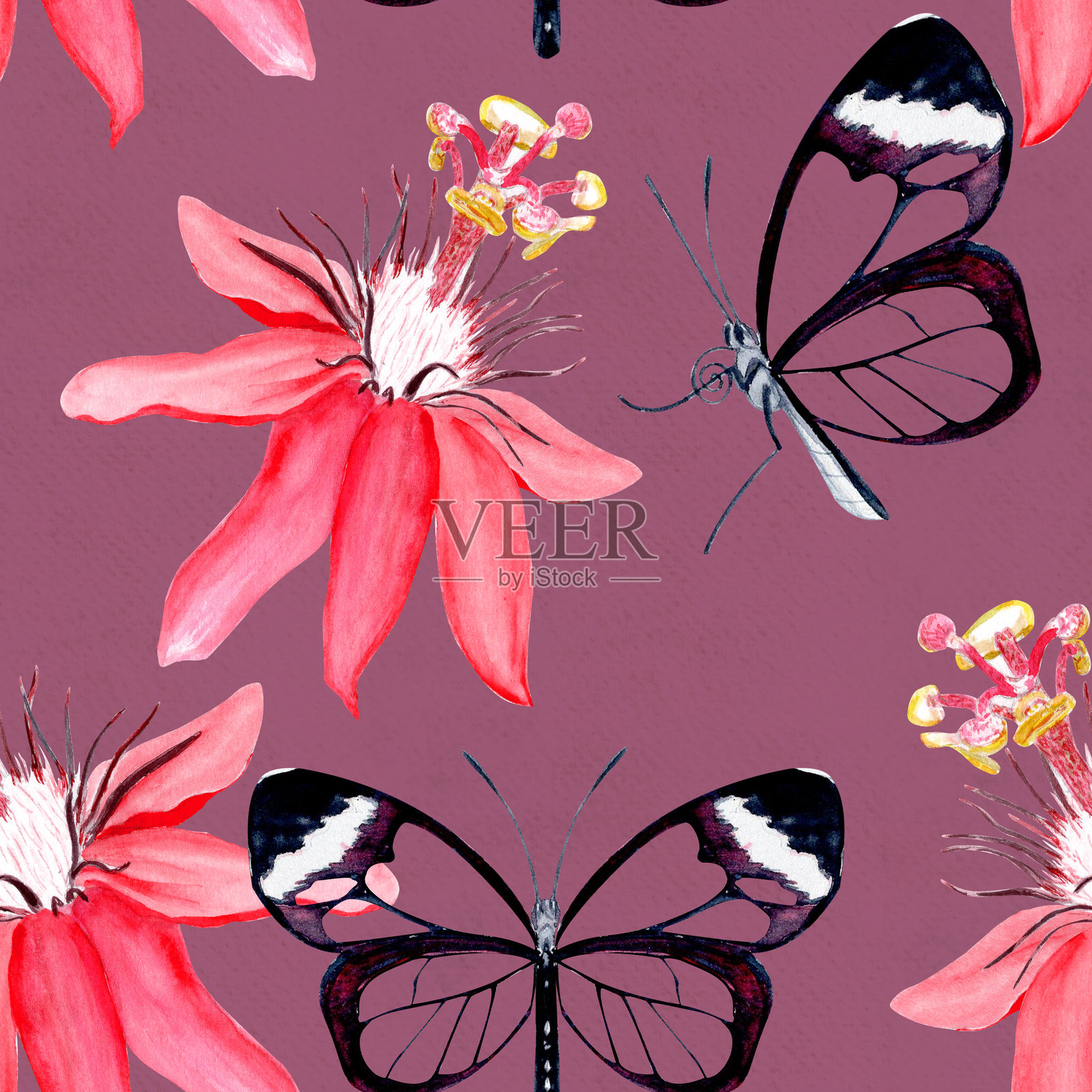 粉色背景上的玻璃翼蝴蝶和西番莲花优雅水彩无缝图案。插画图片素材