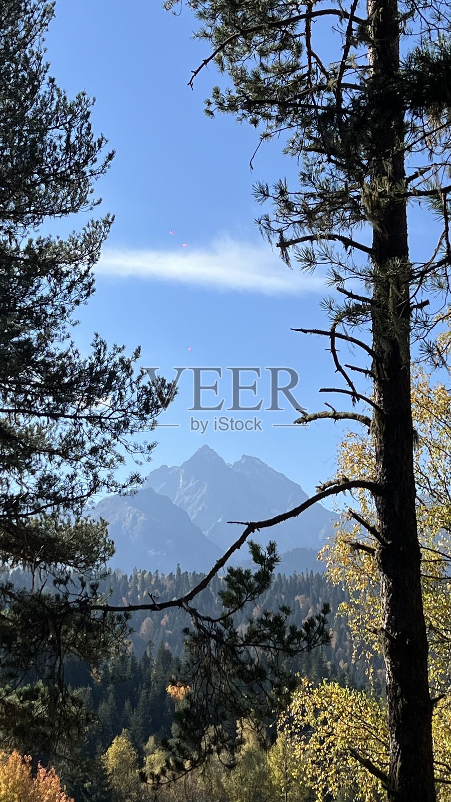 秋季森林与山景照片摄影图片