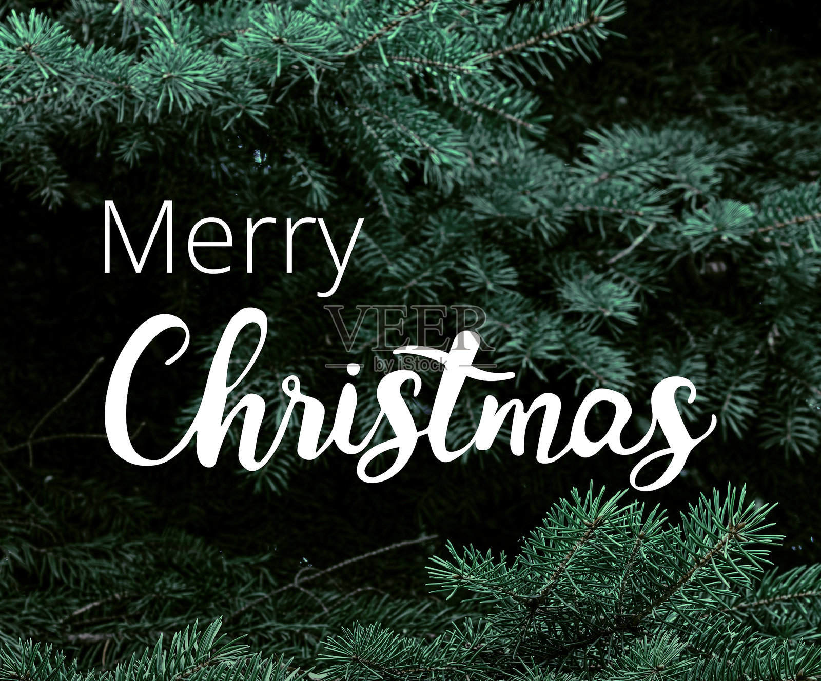 一张以圣诞节为主题的祝贺照片照片摄影图片