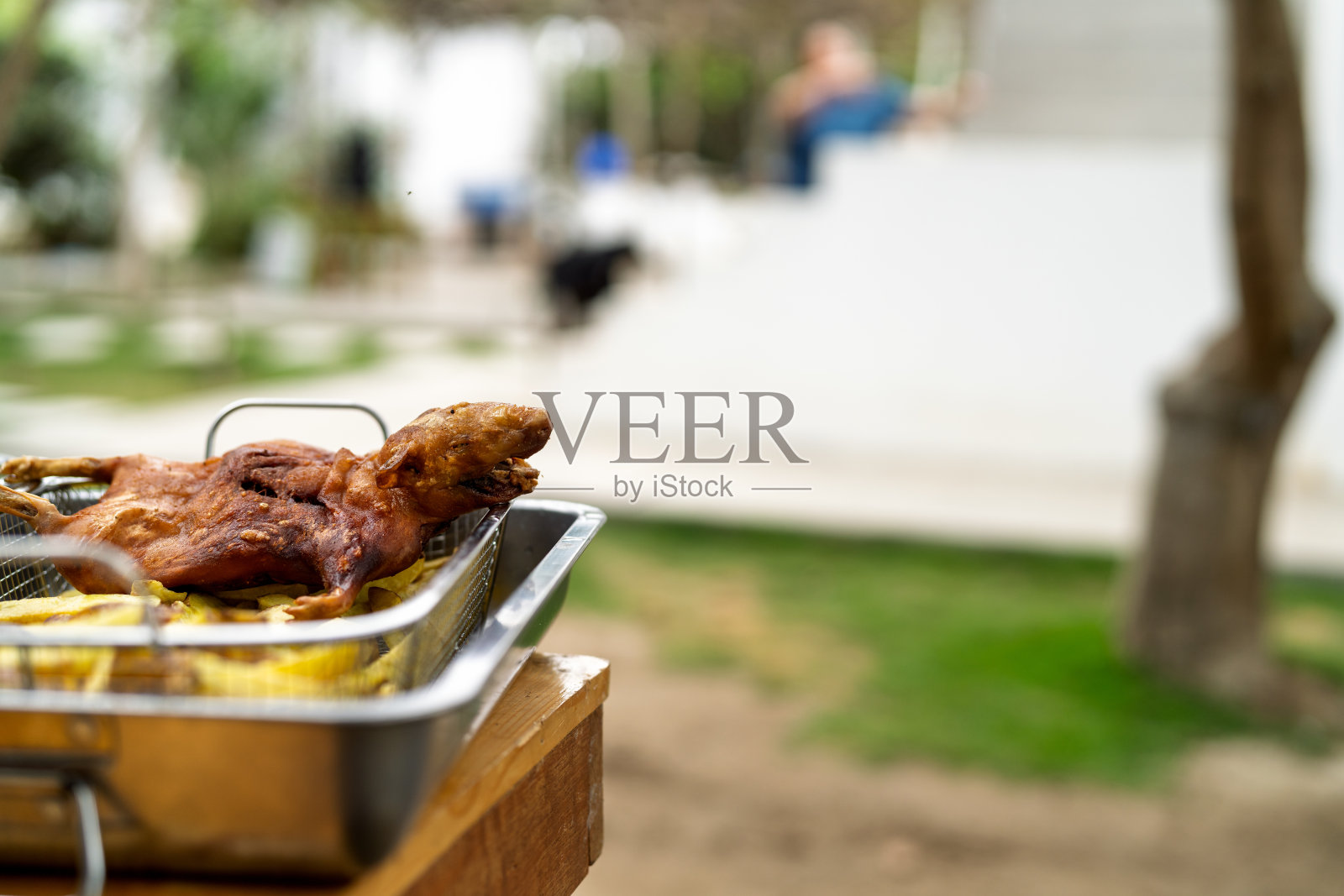 传统的烤豚鼠或豚鼠在户外照片摄影图片