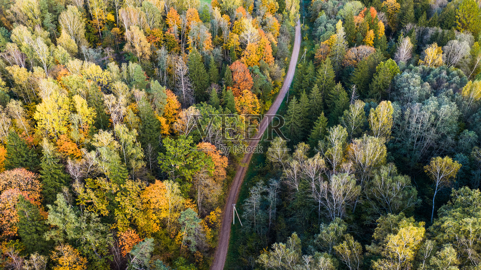 秋季帕内瑞艾村的道路照片摄影图片