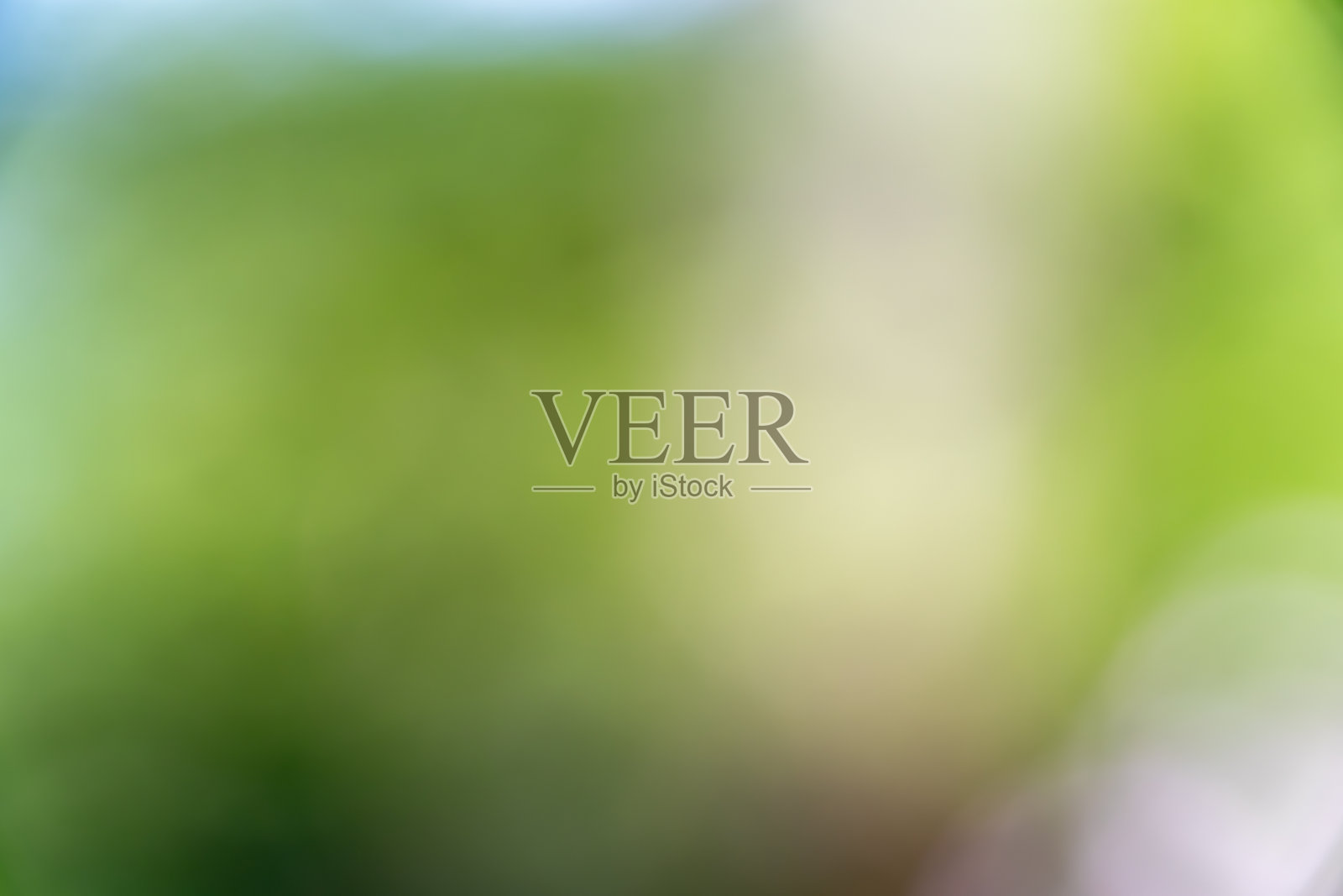 柔和的绿色抽象模糊照片摄影图片