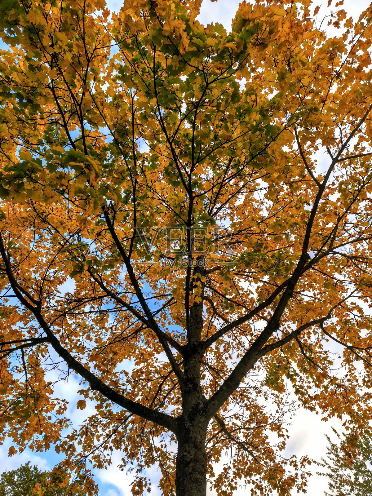 德国北部自然风光摄影照片摄影图片