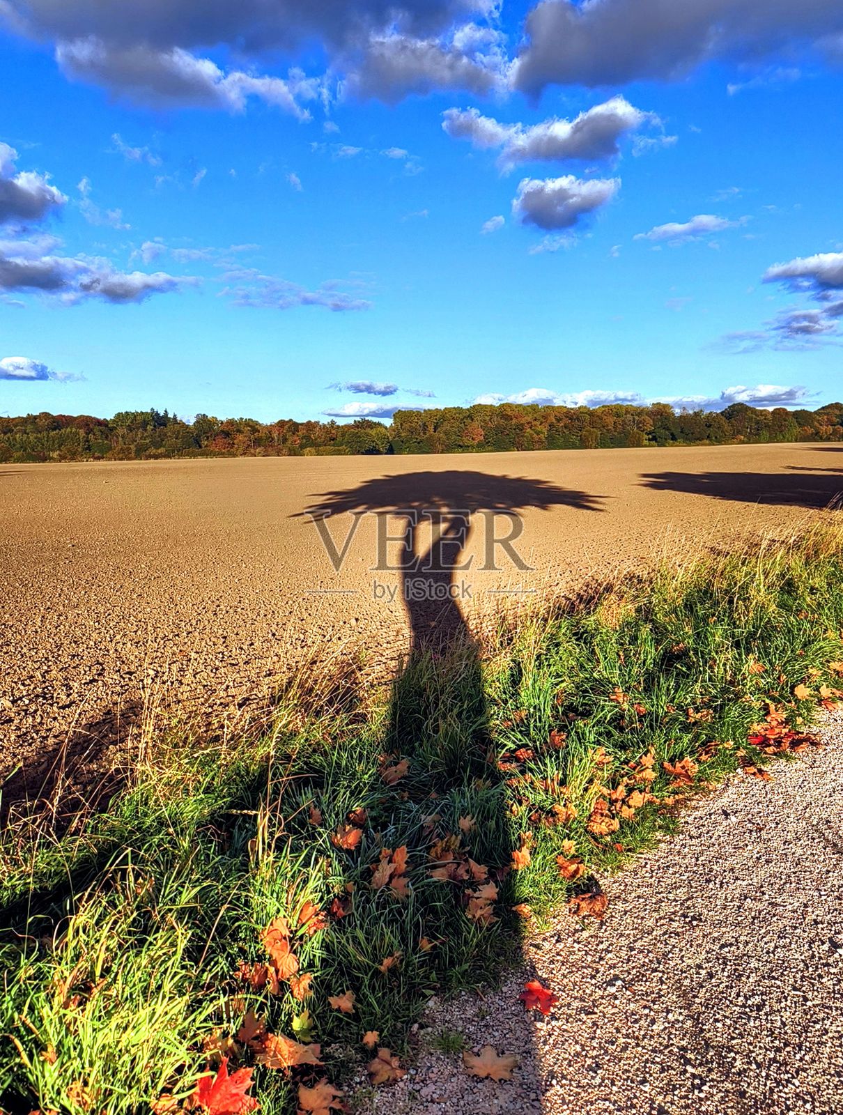 来自德国北部的自然与风景照片照片摄影图片