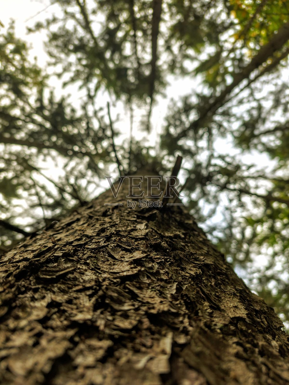 德国北部的自然与风景照片照片摄影图片