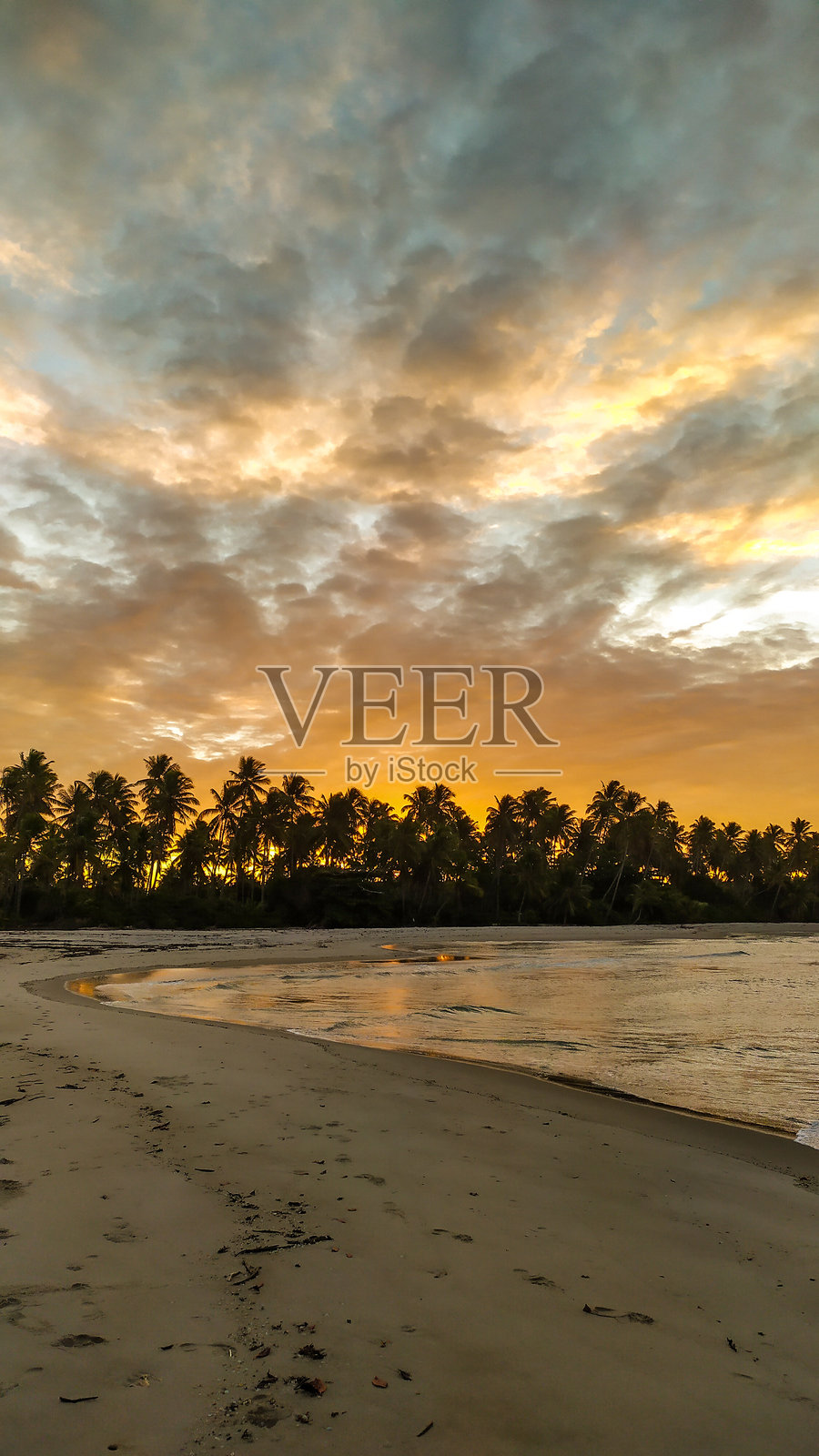 日落的金色光辉照片摄影图片