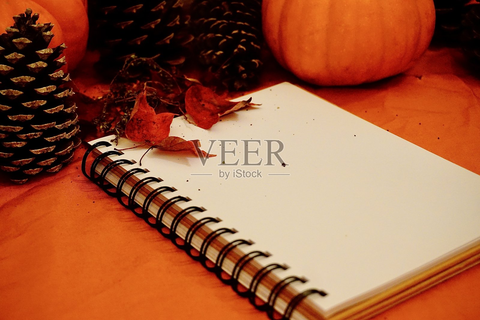 橙色背景上舒适的秋季写作空间，周围环绕着秋季装饰照片摄影图片
