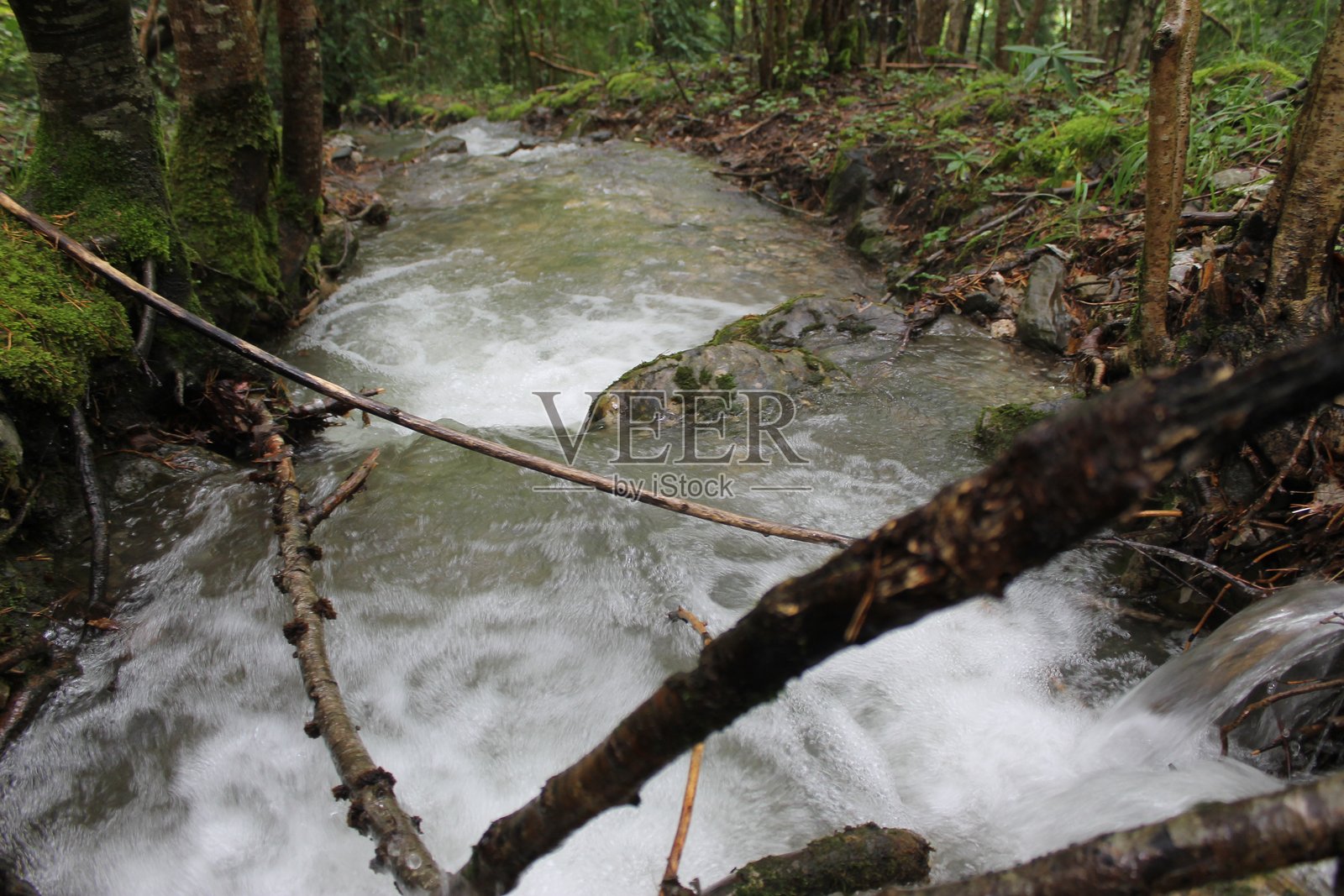 2024 - 坎弗兰克车站自然保护区 - 比利牛斯山照片摄影图片