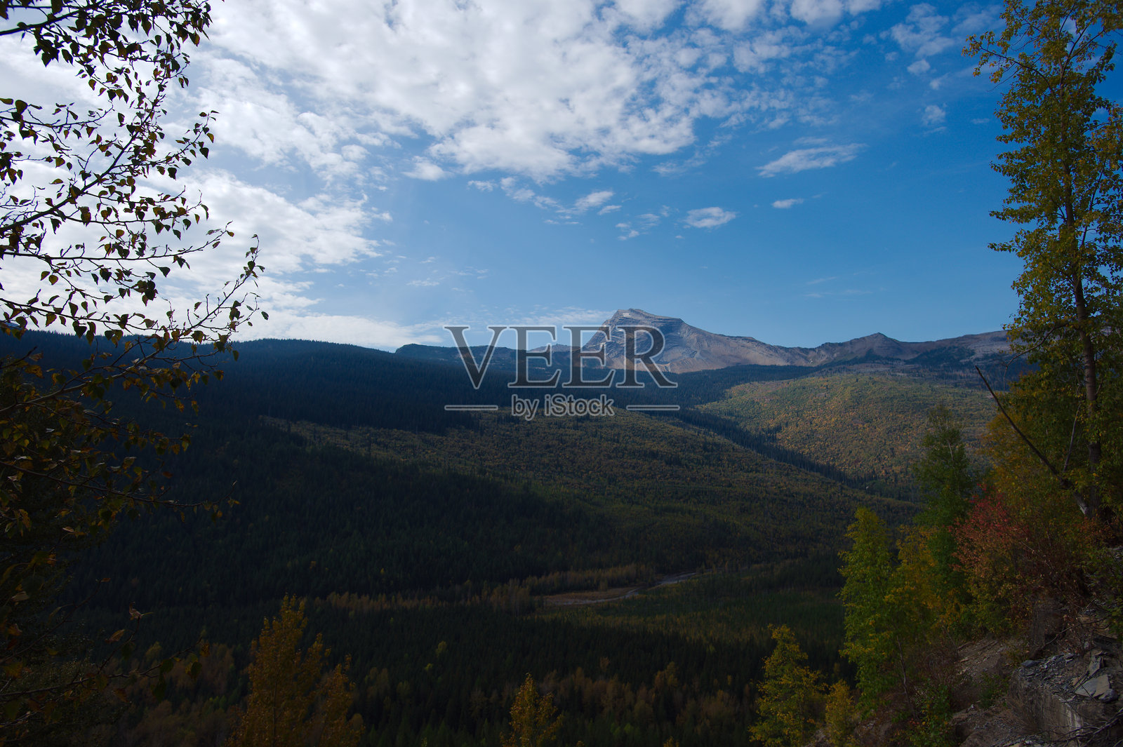 蒙大拿州冰川国家公园的秋季山谷景观，包含森林、山脊和石墙。照片摄影图片
