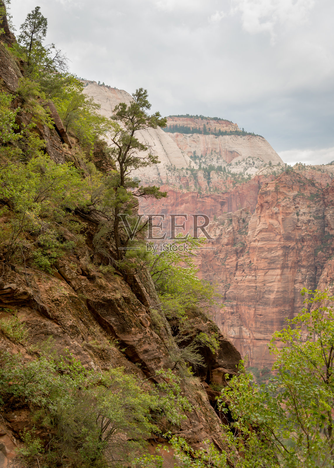 锡安国家公园照片摄影图片