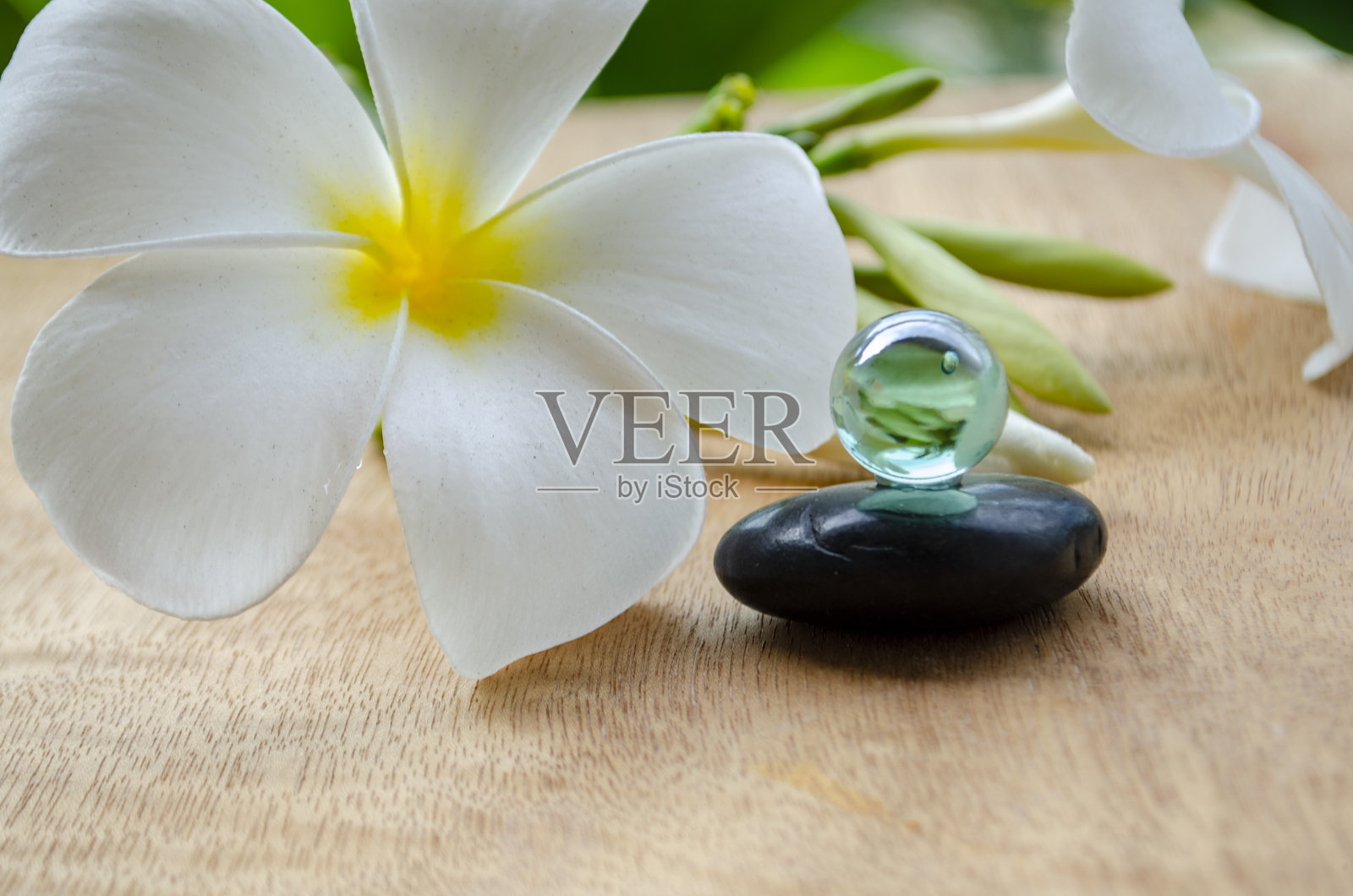 黑色的禅石上放着一颗大理石，背景是美丽的白花。照片摄影图片